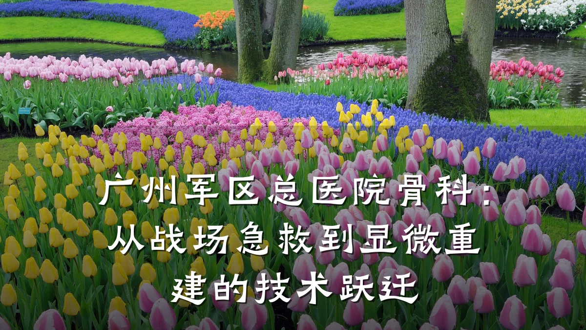 广州军区总医院骨科:从战场急救到显微重建的技术跃迁