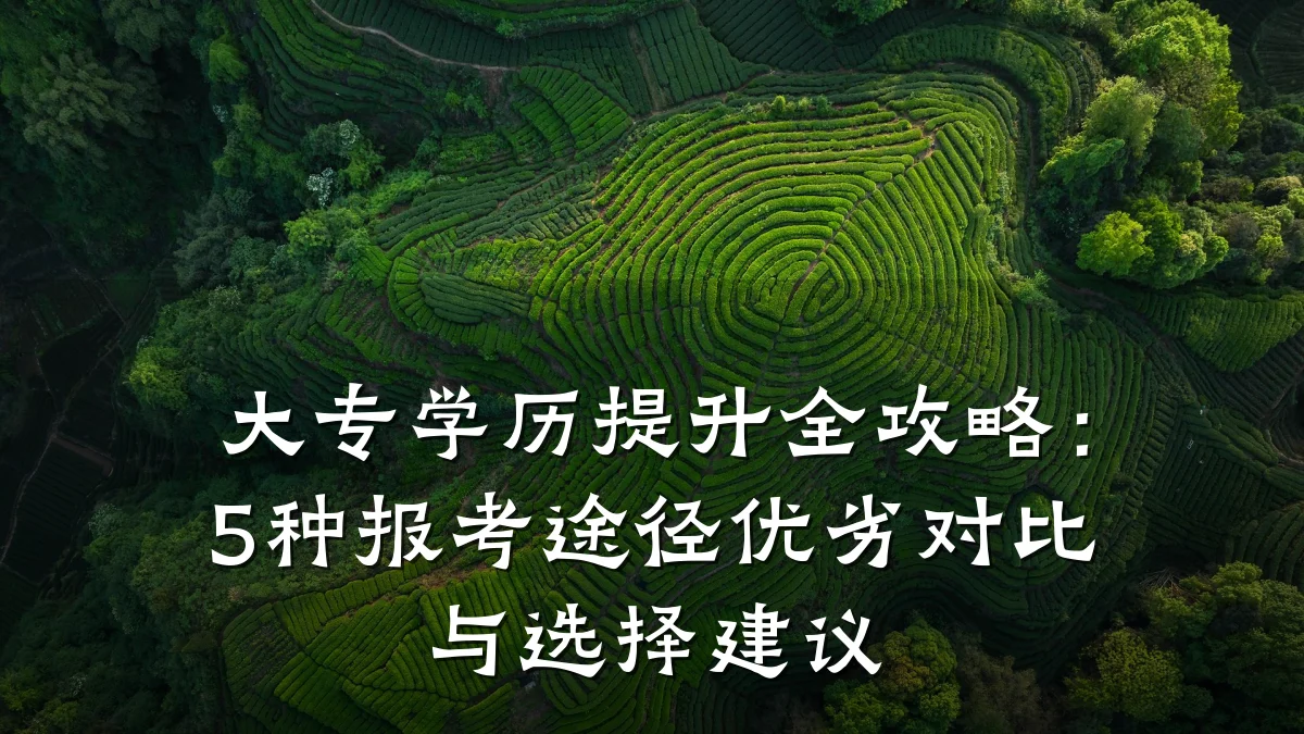 大专学历提升全攻略：5种报考途径优劣对比与选择建议