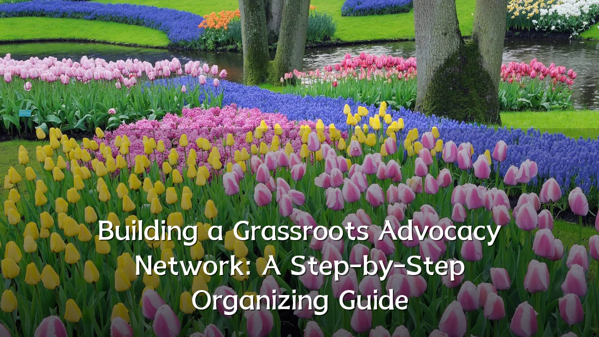 Building a Grassroots Advocacy Network: A Step-by-Step Organizing Guide