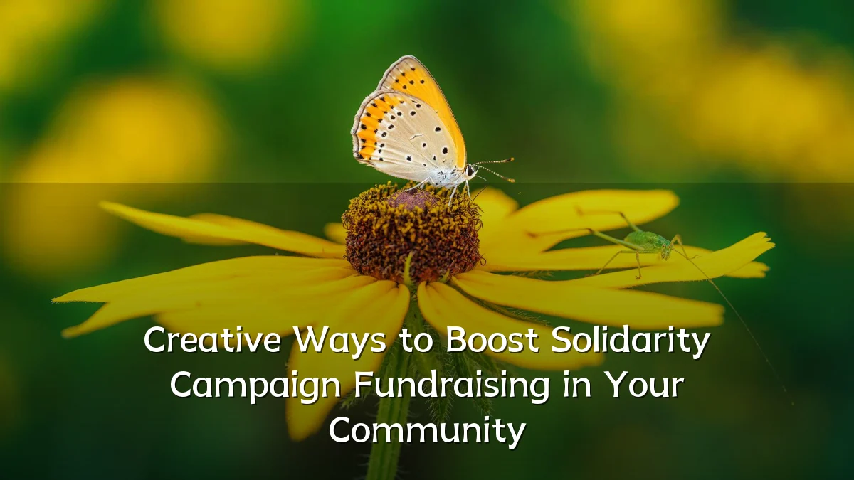 Creative Ways to Boost Solidarity Campaign Fundraising in Your Community