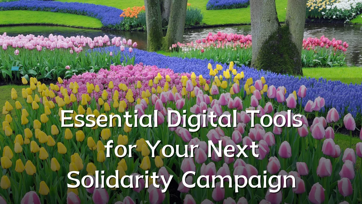 Essential Digital Tools for Your Next Solidarity Campaign