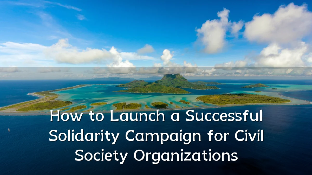 How to Launch a Successful Solidarity Campaign for Civil Society Organizations