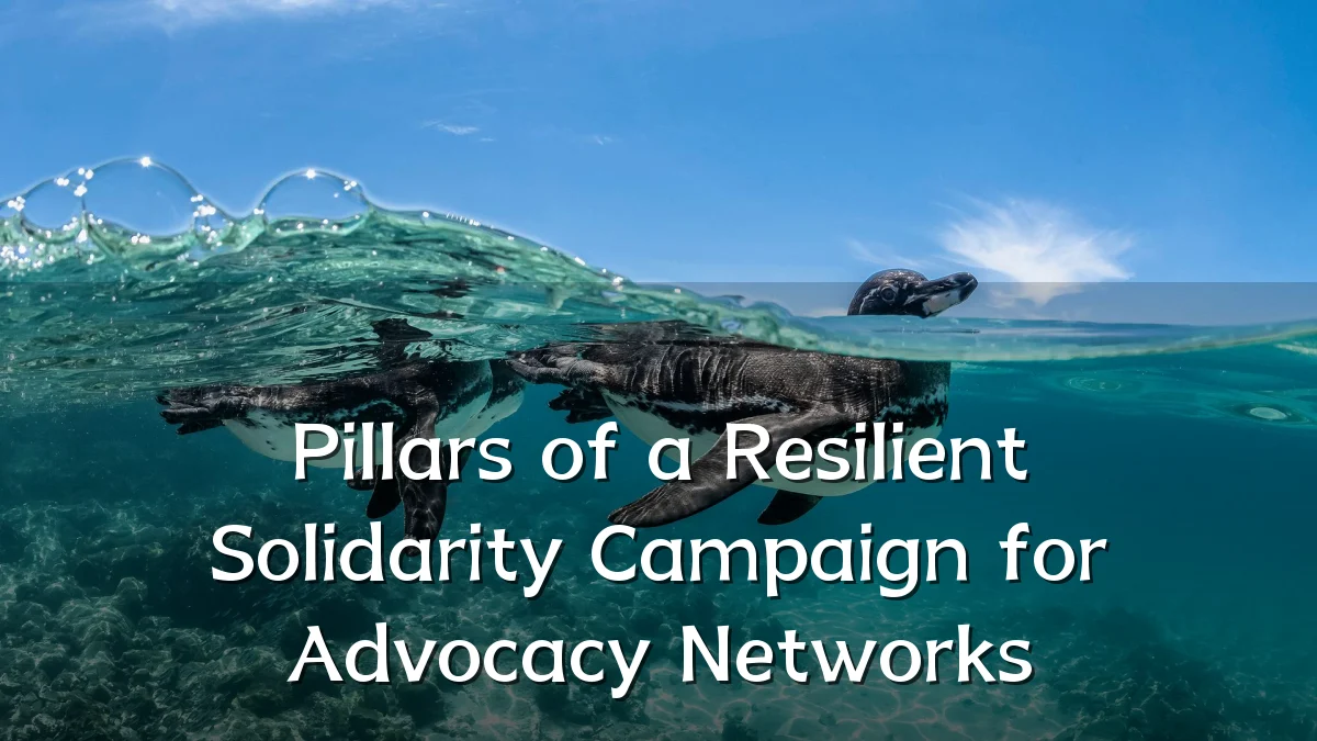 Pillars of a Resilient Solidarity Campaign for Advocacy Networks