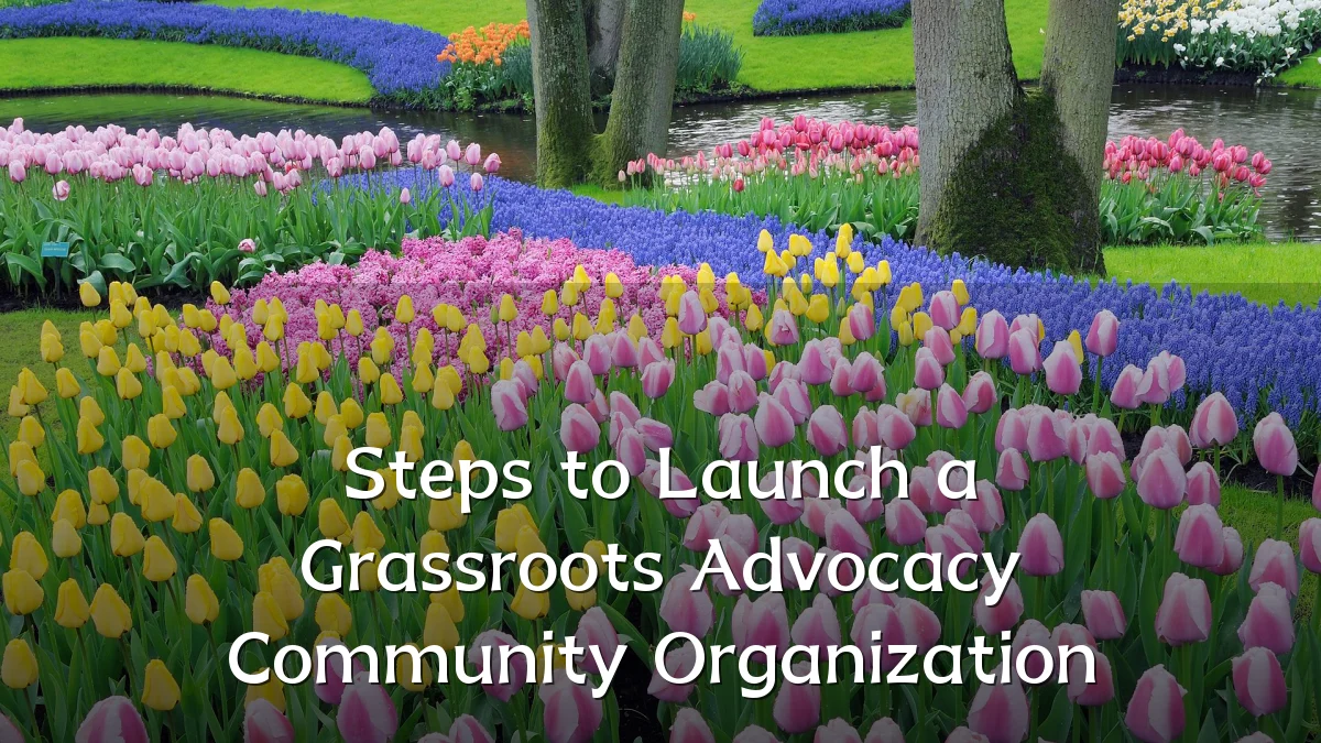 Steps to Launch a Grassroots Advocacy Community Organization
