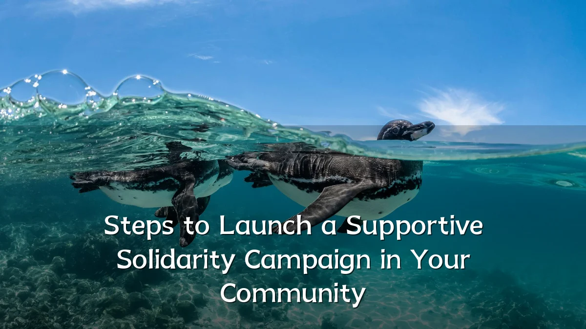 Steps to Launch a Supportive Solidarity Campaign in Your Community