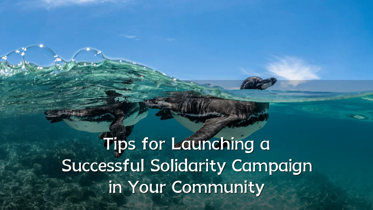 Tips for Launching a Successful Solidarity Campaign in Your Community