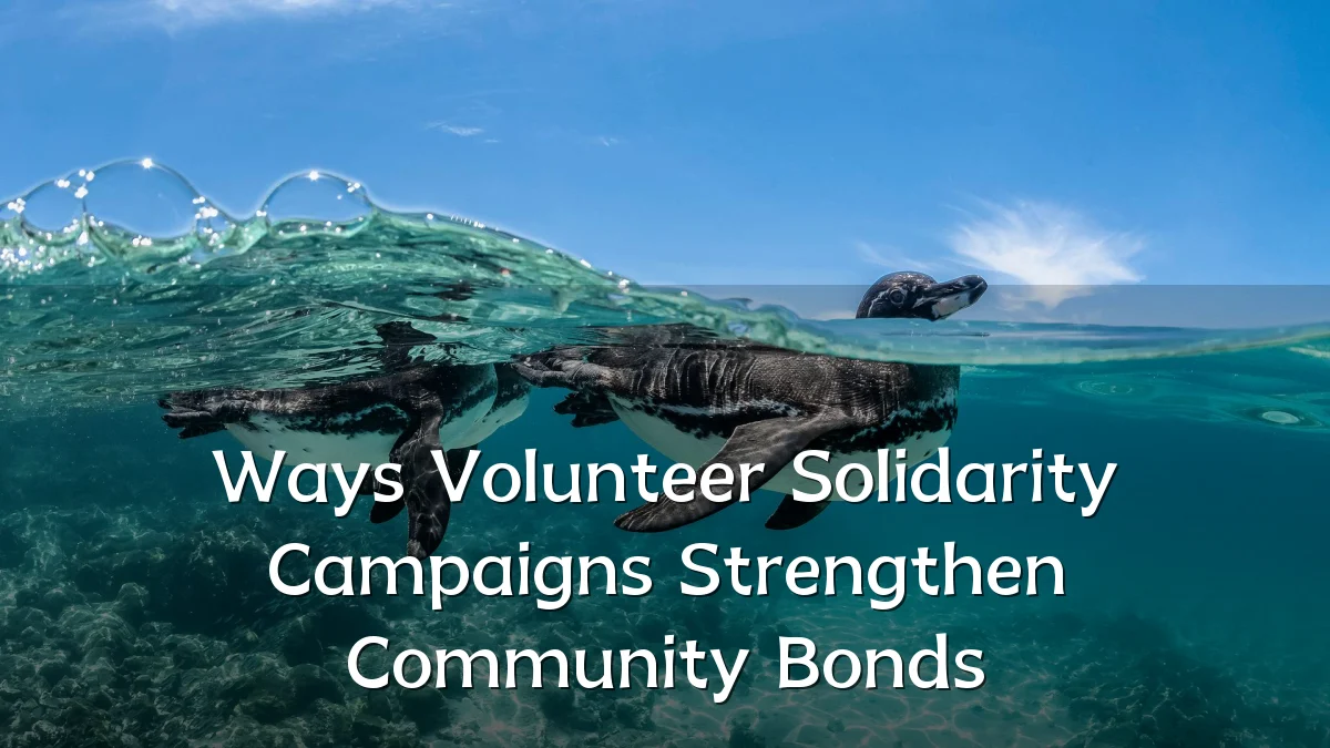 Ways Volunteer Solidarity Campaigns Strengthen Community Bonds