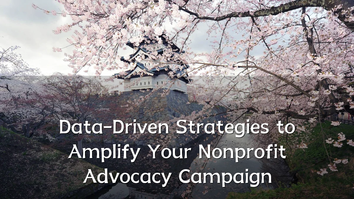 Data-Driven Strategies to Amplify Your Nonprofit Advocacy Campaign