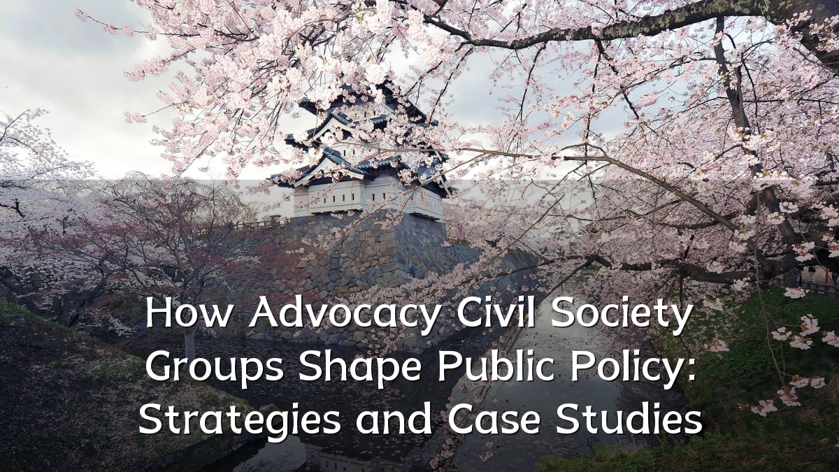 How Advocacy Civil Society Groups Shape Public Policy: Strategies and Case Studies