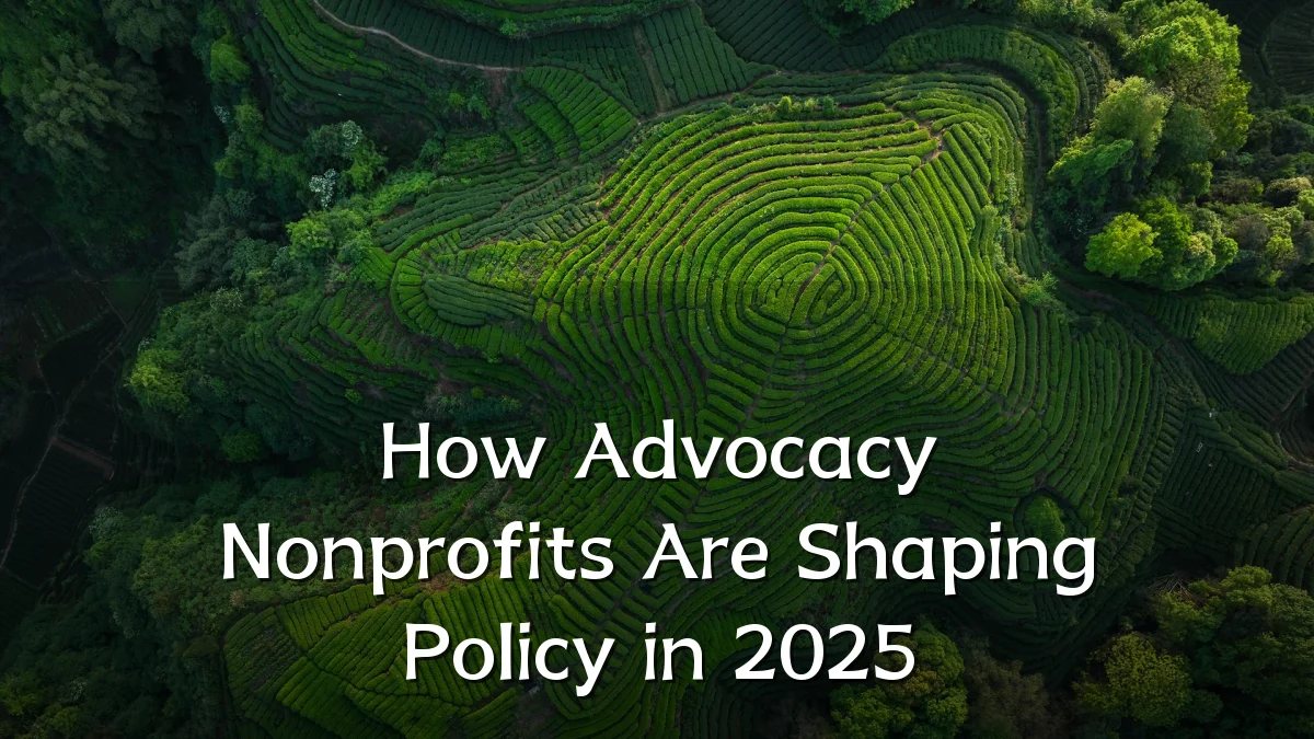 How Advocacy Nonprofits Are Shaping Policy in 2025