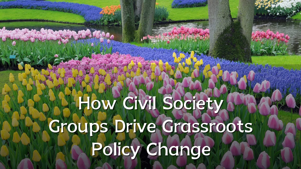 How Civil Society Groups Drive Grassroots Policy Change