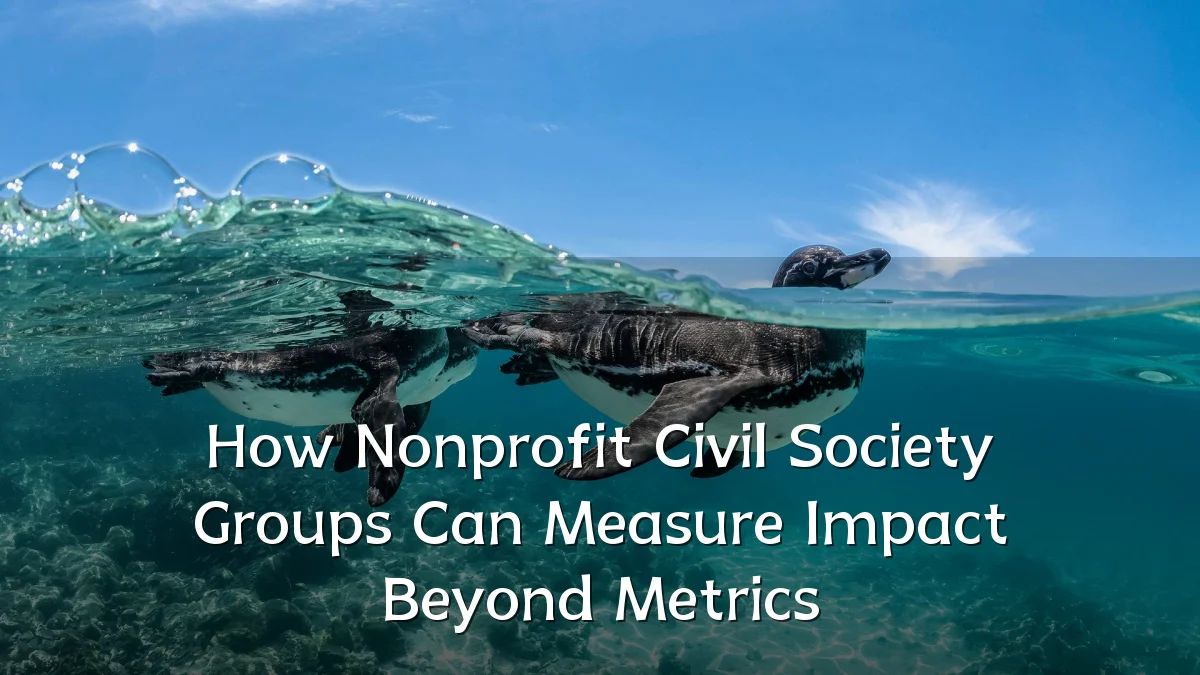 How Nonprofit Civil Society Groups Can Measure Impact Beyond Metrics