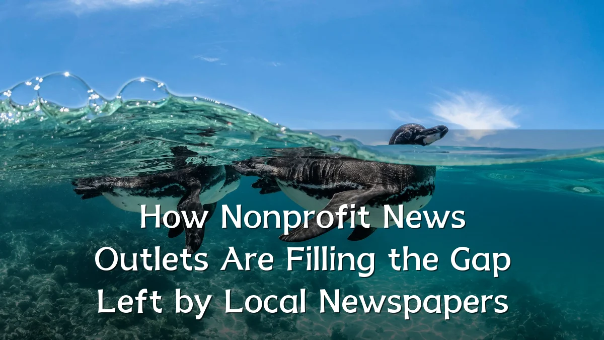 How Nonprofit News Outlets Are Filling the Gap Left by Local Newspapers