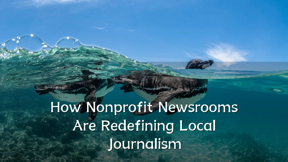 How Nonprofit Newsrooms Are Redefining Local Journalism