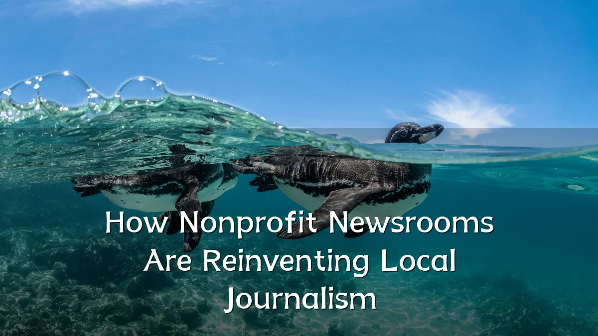 How Nonprofit Newsrooms Are Reinventing Local Journalism