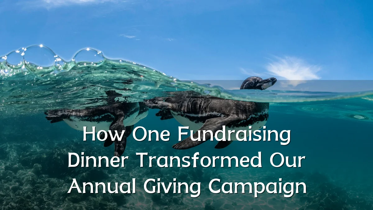 How One Fundraising Dinner Transformed Our Annual Giving Campaign