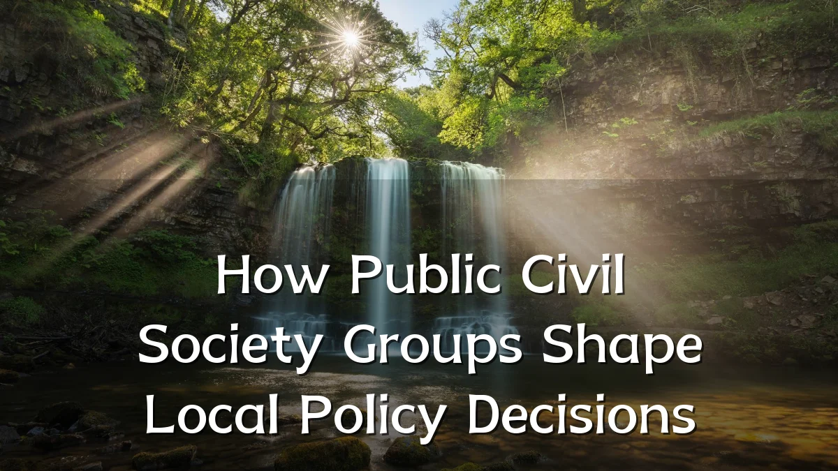 How Public Civil Society Groups Shape Local Policy Decisions