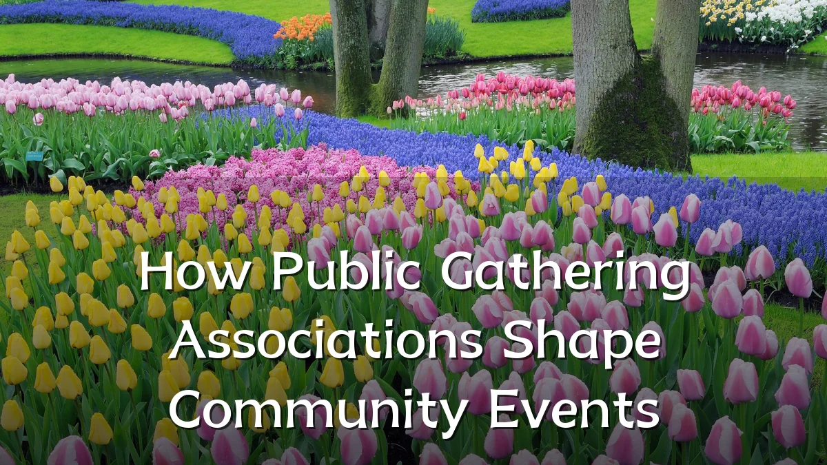 How Public Gathering Associations Shape Community Events