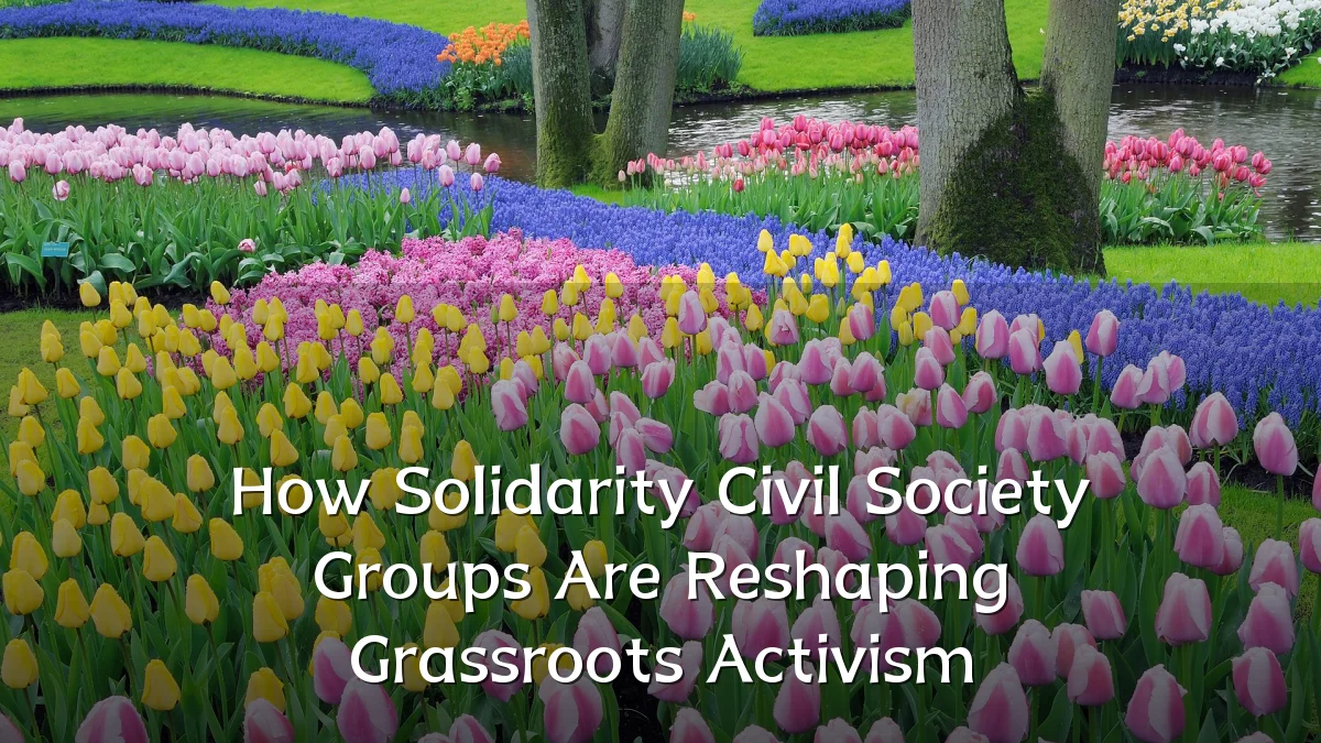 How Solidarity Civil Society Groups Are Reshaping Grassroots Activism
