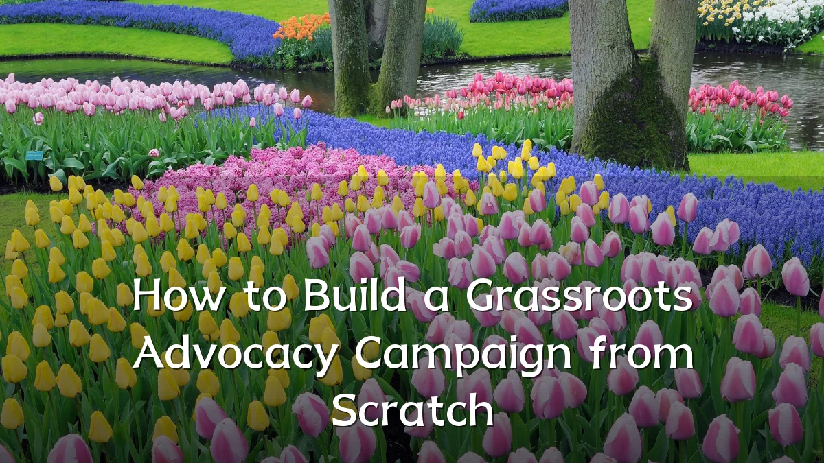 How to Build a Grassroots Advocacy Campaign from Scratch