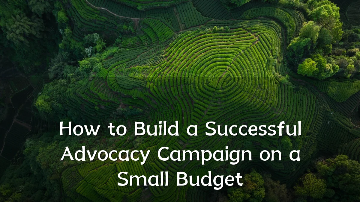How to Build a Successful Advocacy Campaign on a Small Budget