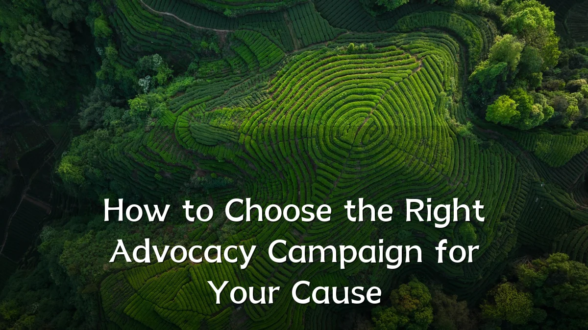 How to Choose the Right Advocacy Campaign for Your Cause