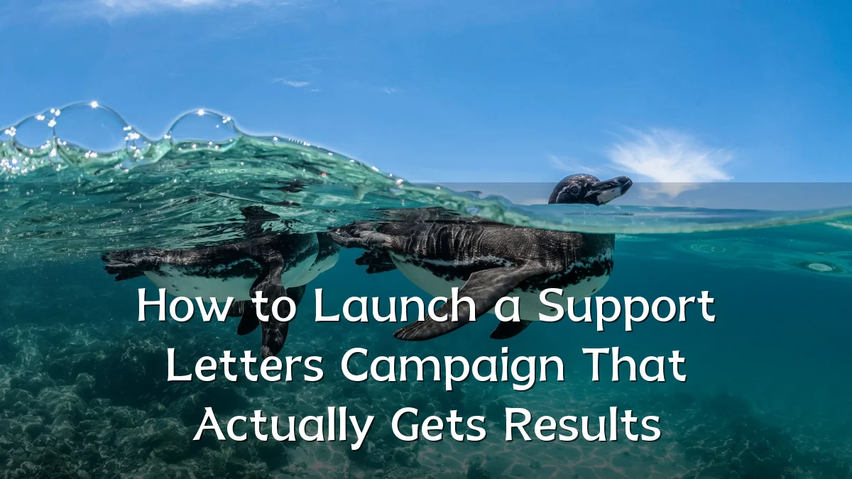 How to Launch a Support Letters Campaign That Actually Gets Results