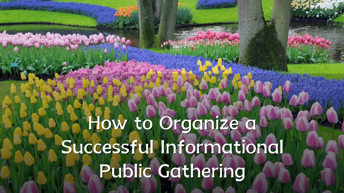 How to Organize a Successful Informational Public Gathering