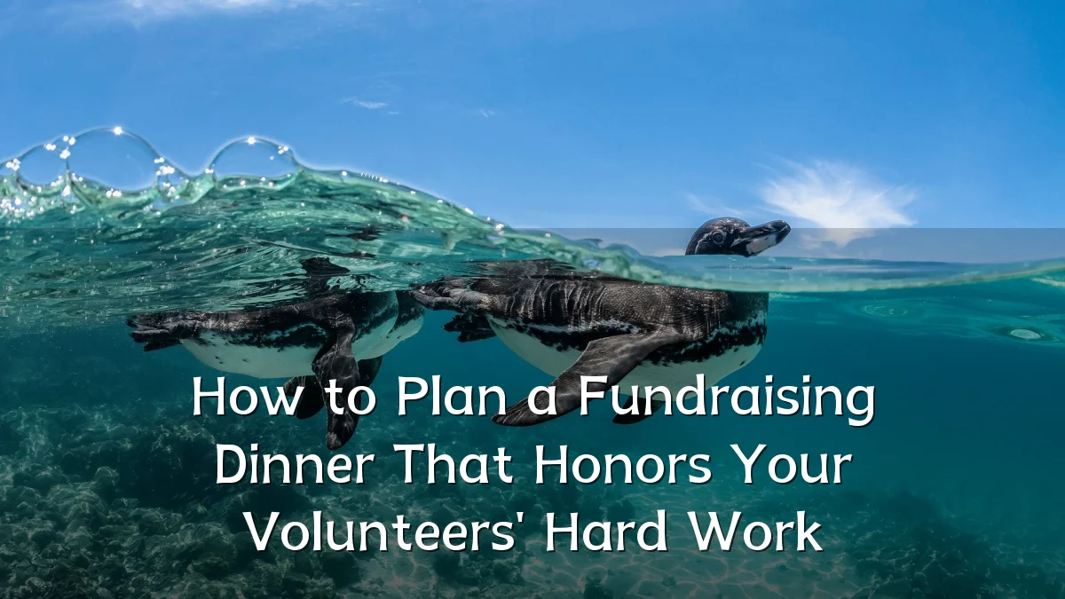 How to Plan a Fundraising Dinner That Honors Your Volunteers' Hard Work