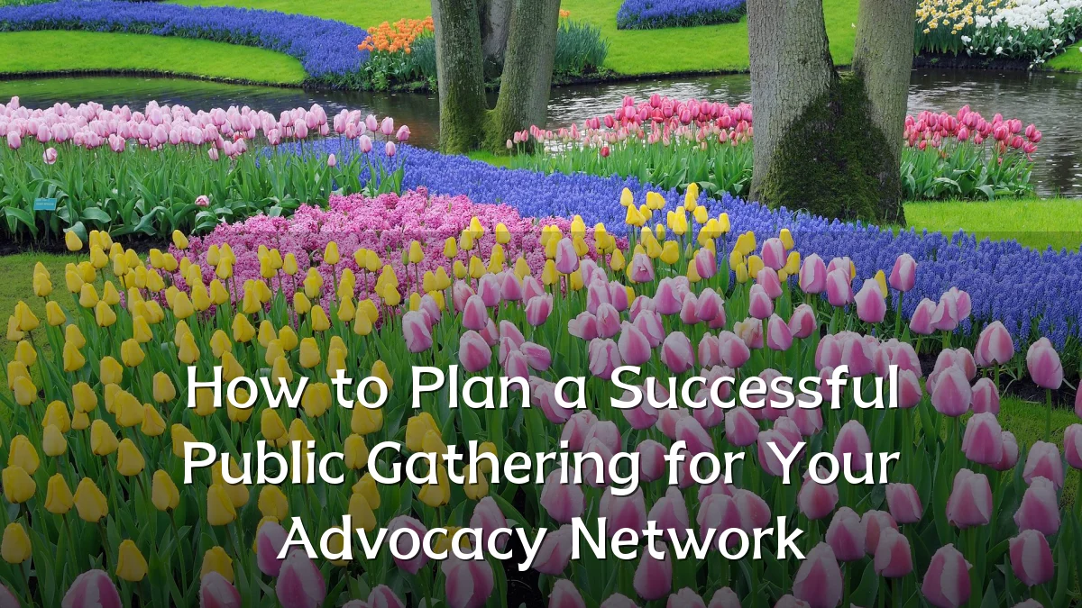 How to Plan a Successful Public Gathering for Your Advocacy Network