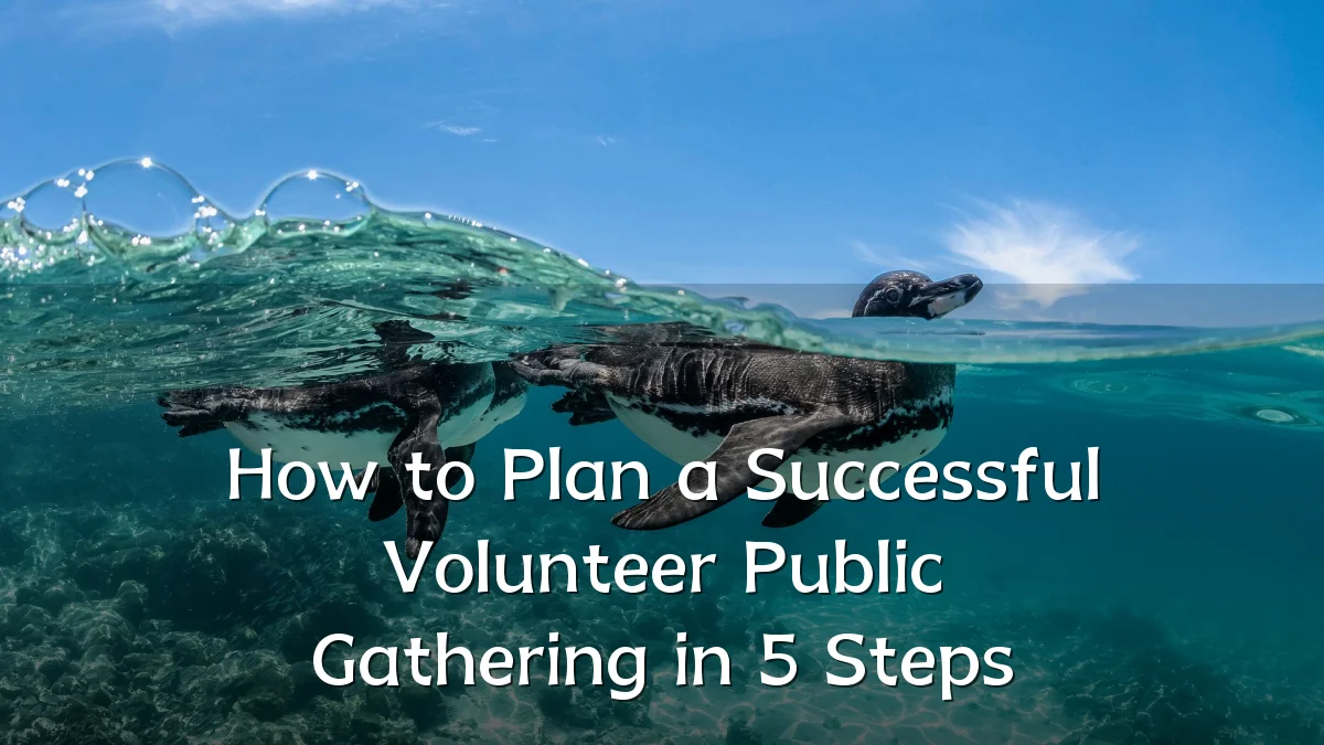 How to Plan a Successful Volunteer Public Gathering in 5 Steps