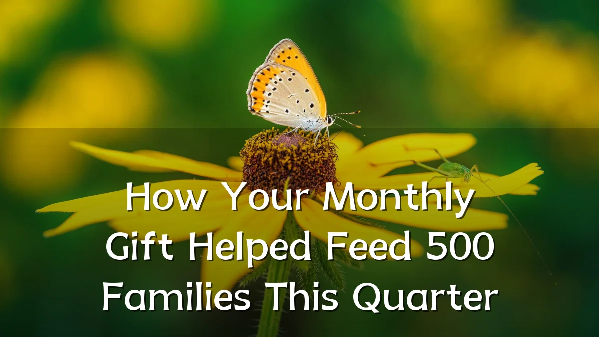How Your Monthly Gift Helped Feed 500 Families This Quarter