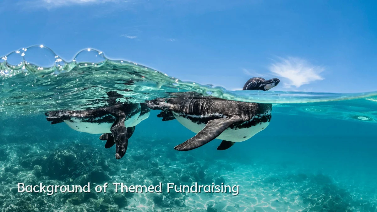 Background of Themed Fundraising