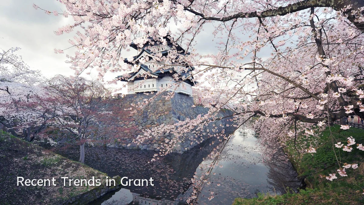 Recent Trends in Grant