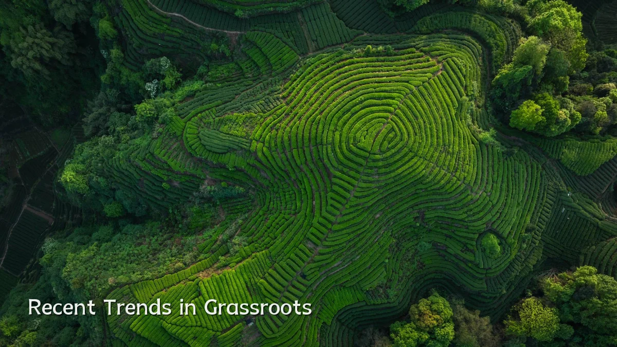 Recent Trends in Grassroots