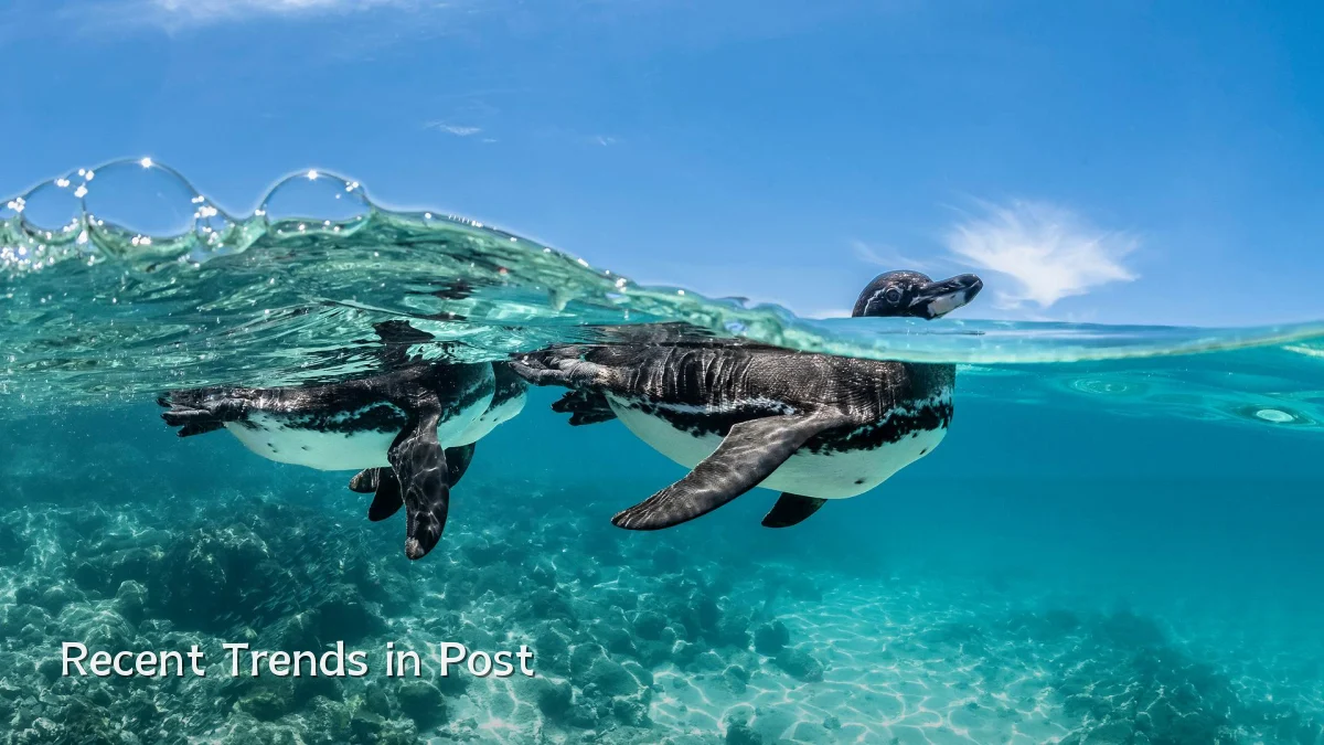 Recent Trends in Post