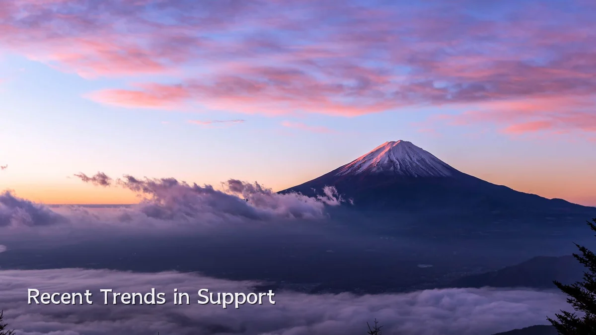 Recent Trends in Support