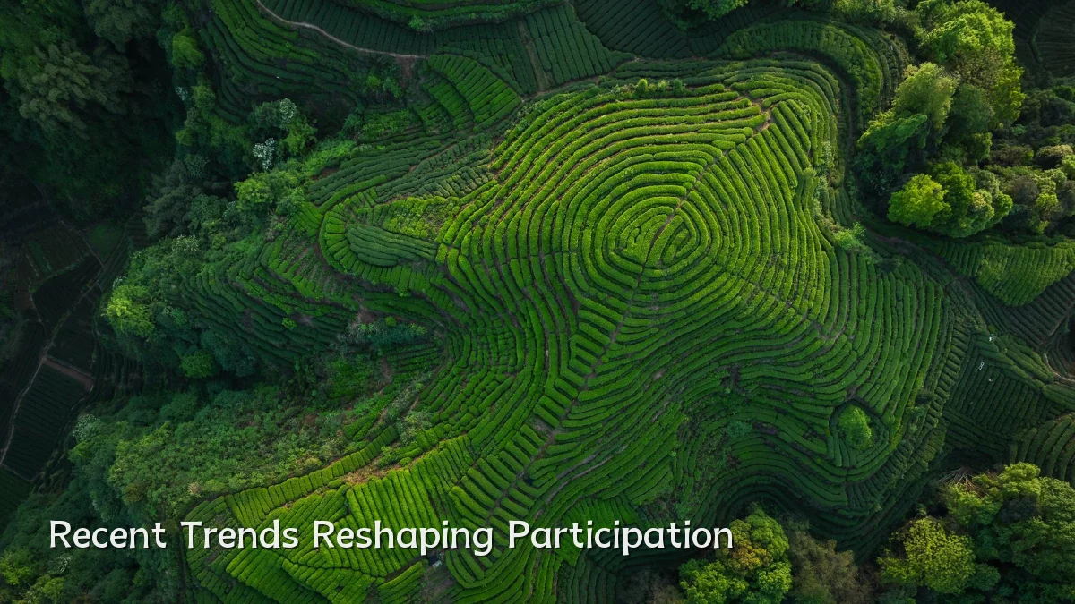 Recent Trends Reshaping Participation