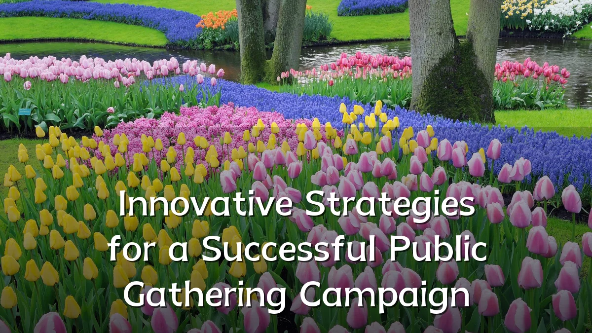 Innovative Strategies for a Successful Public Gathering Campaign