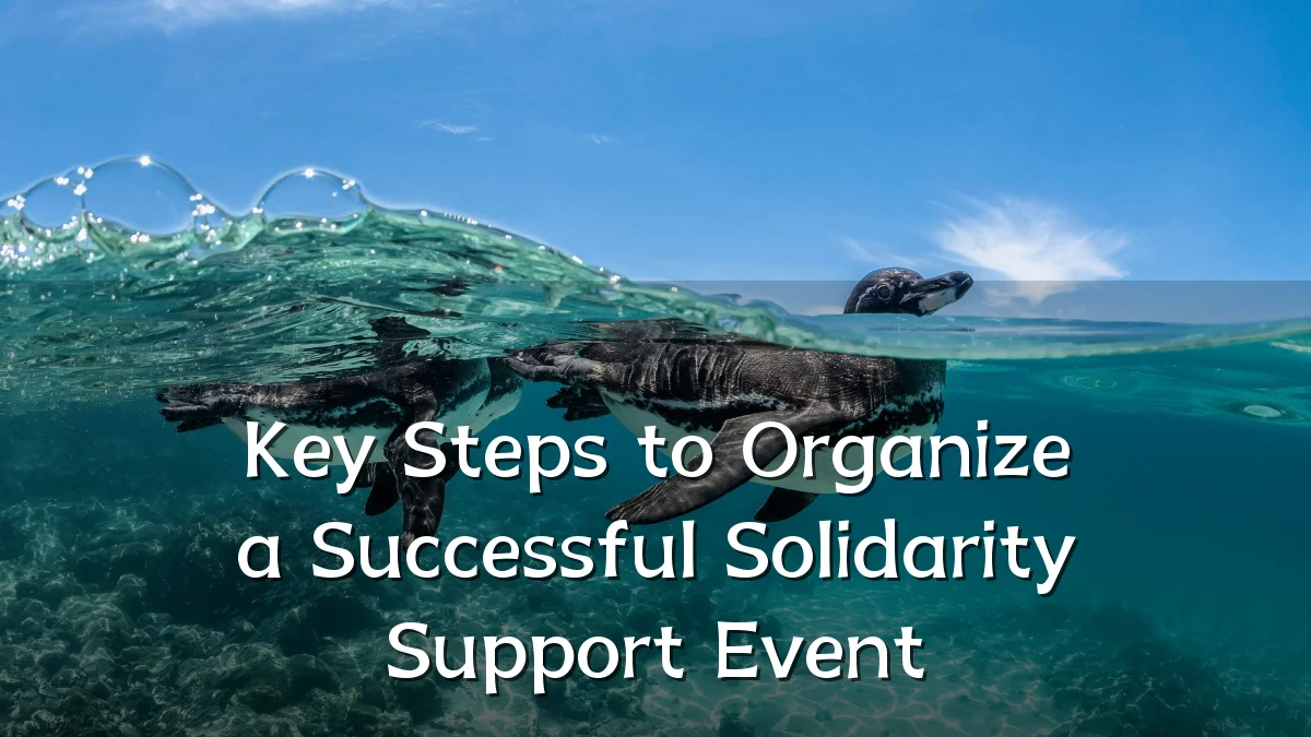 Key Steps to Organize a Successful Solidarity Support Event