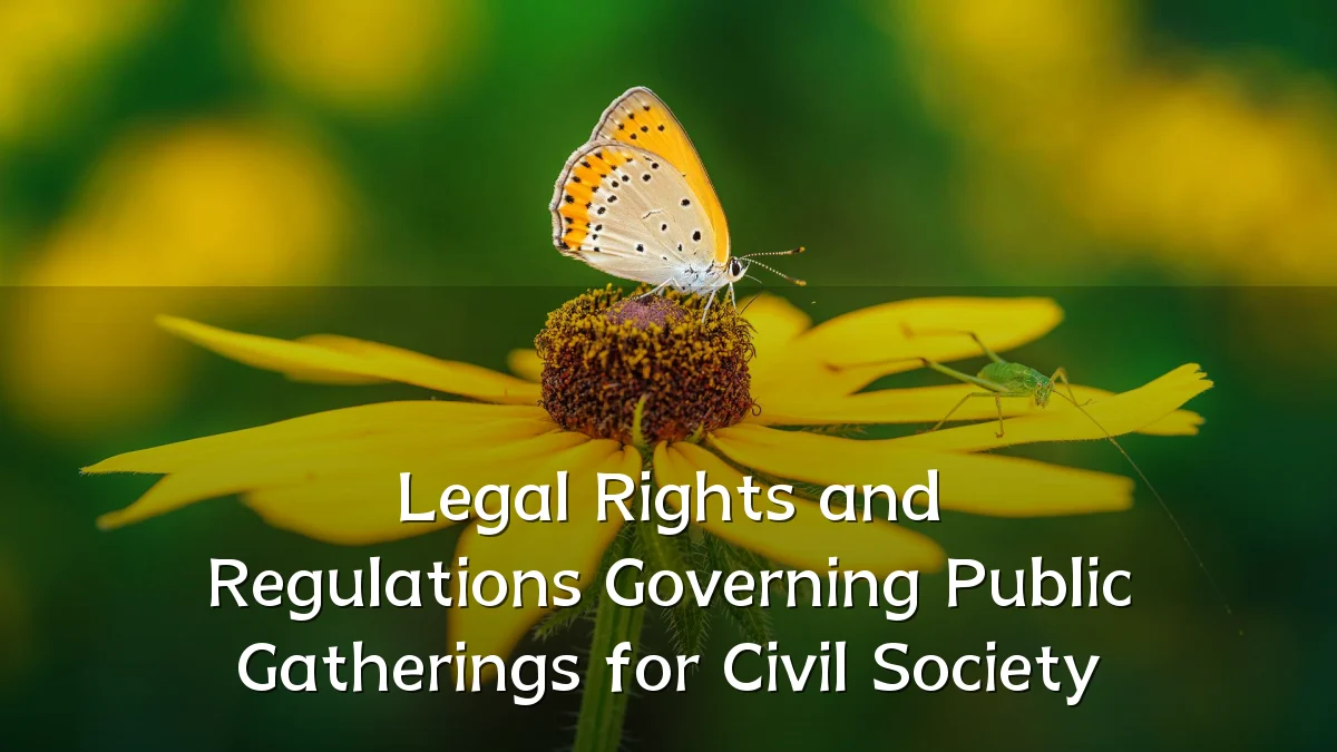 Legal Rights and Regulations Governing Public Gatherings for Civil Society