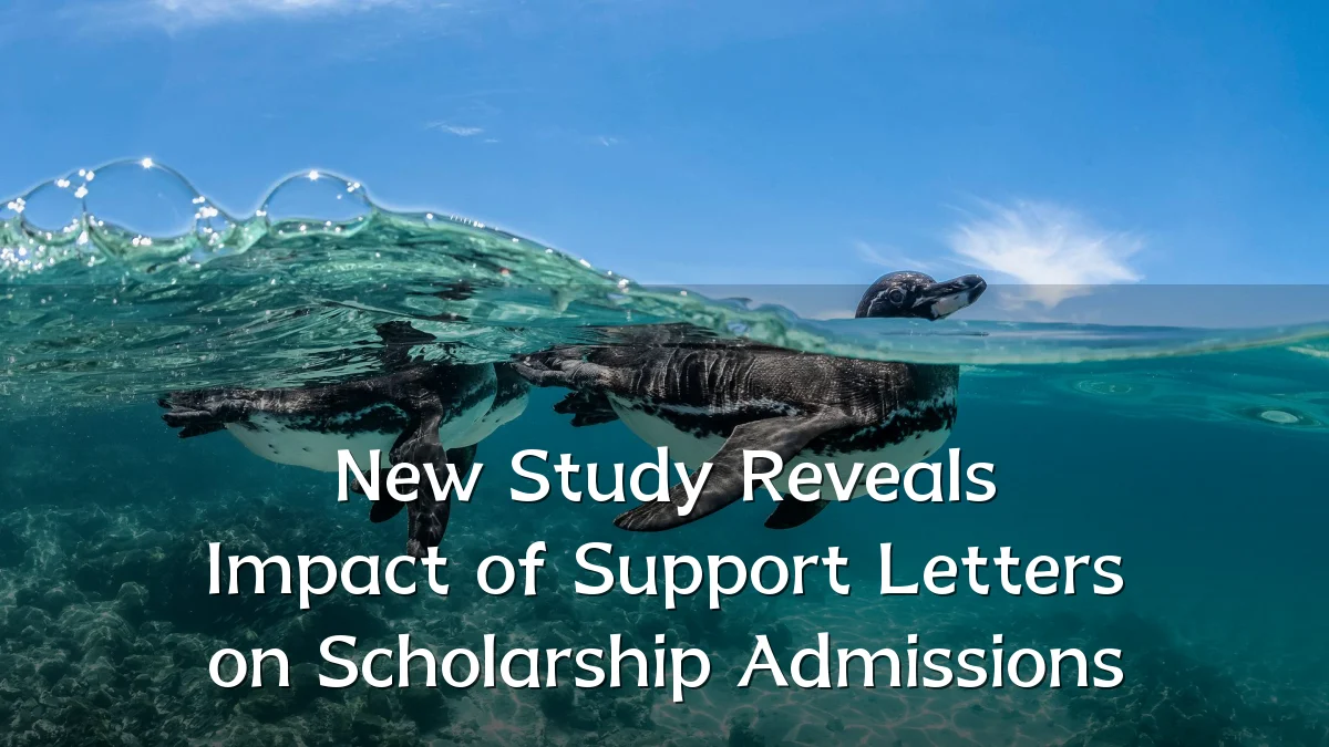 New Study Reveals Impact of Support Letters on Scholarship Admissions