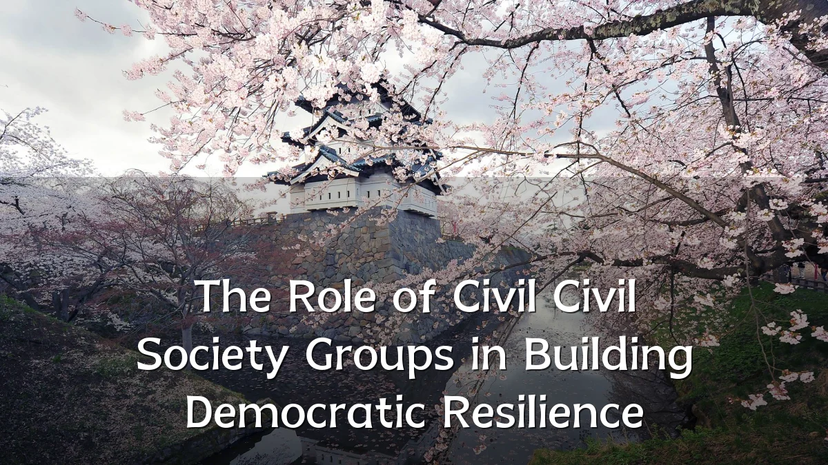 The Role of Civil Civil Society Groups in Building Democratic Resilience