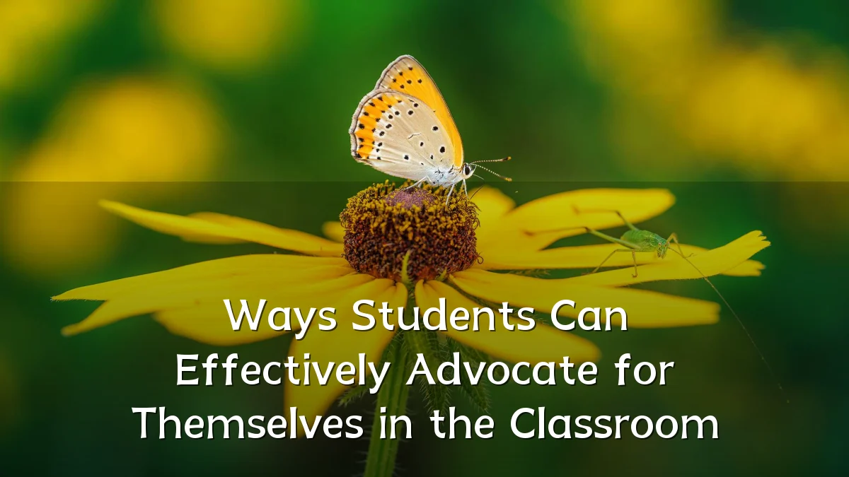 Ways Students Can Effectively Advocate for Themselves in the Classroom
