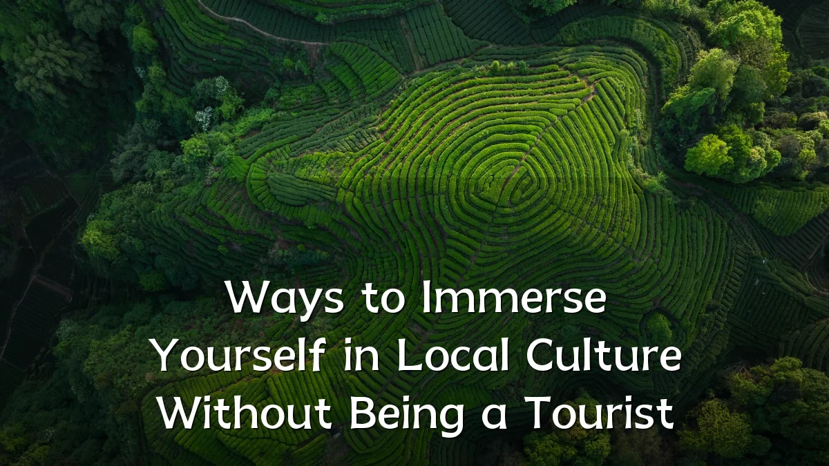 Ways to Immerse Yourself in Local Culture Without Being a Tourist