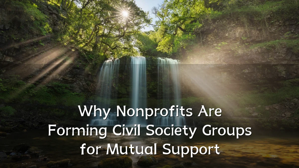 Why Nonprofits Are Forming Civil Society Groups for Mutual Support