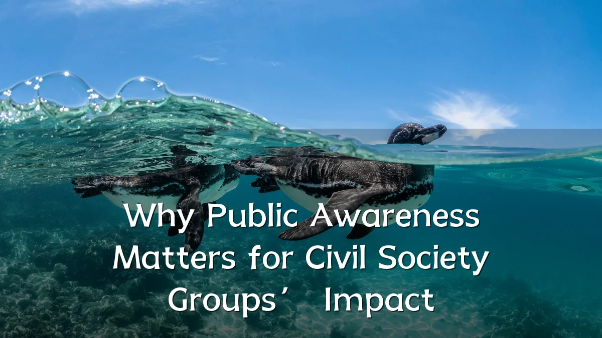 Why Public Awareness Matters for Civil Society Groups’ Impact
