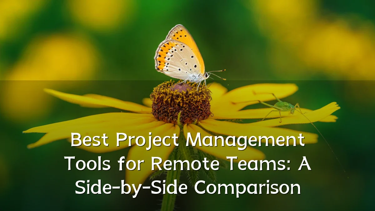 Best Project Management Tools for Remote Teams: A Side-by-Side Comparison