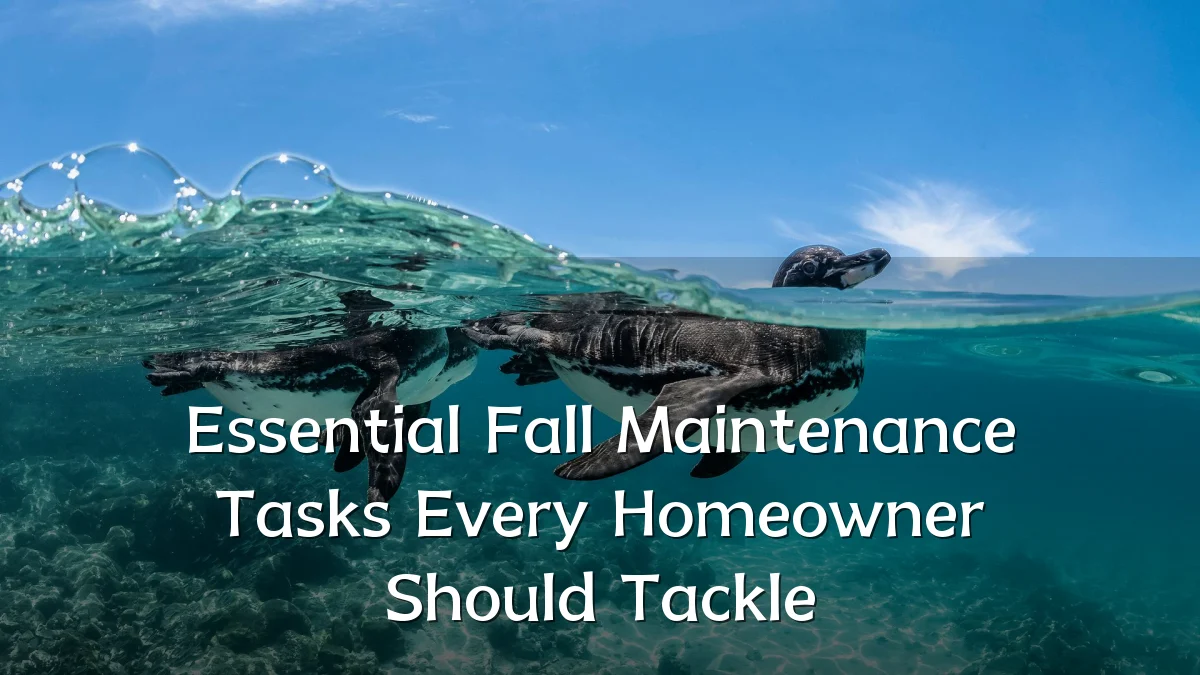 Essential Fall Maintenance Tasks Every Homeowner Should Tackle
