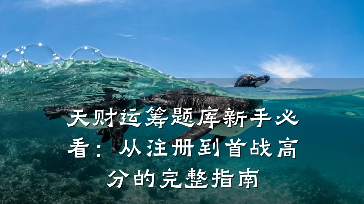 天财运筹题库新手必看:从注册到首战高分的完整指南